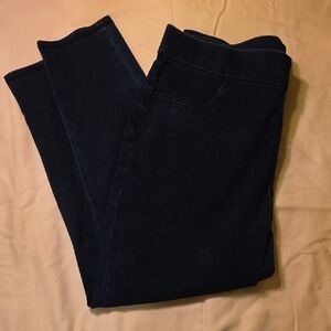 Time and Tru Dark Blue Women Jeggings